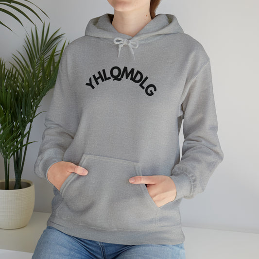 YHLQMDLG Unisex Heavy Blend™ Hooded Sweatshirt